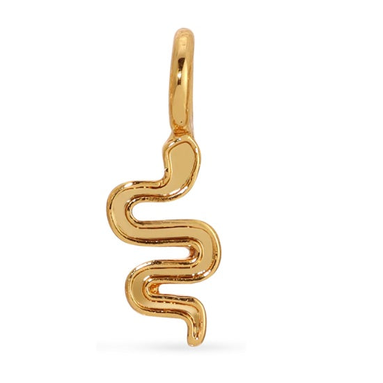 Snake Gold Charm