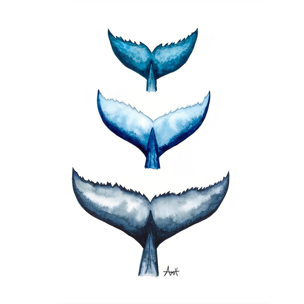 Whale Tail Trio 11x14" Print - New Finn Art