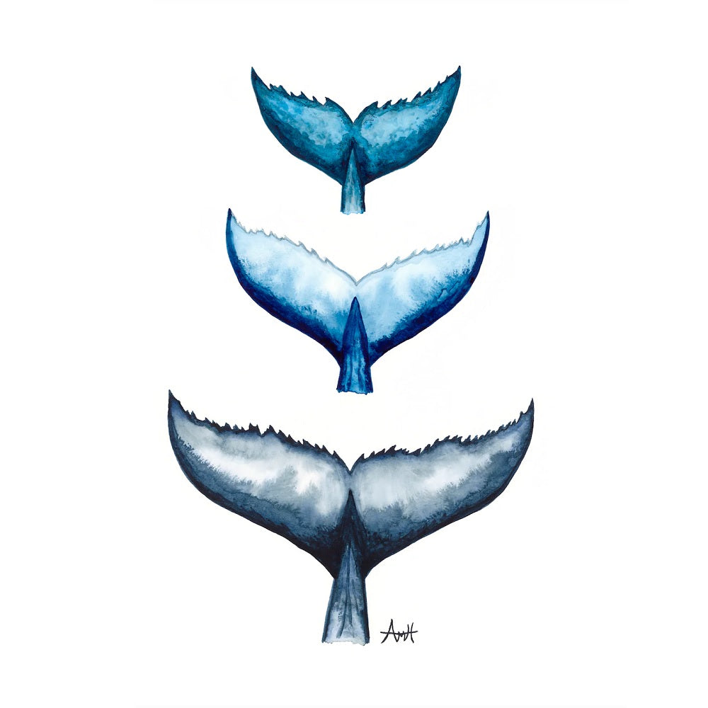 Whale Tail Trio 5x7" Print - New Finn Art